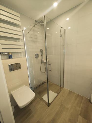 uma casa de banho com um chuveiro, um WC e um lavatório. em Maya's Flats & Resorts 42 - Świętej Barbary em Gdansk
