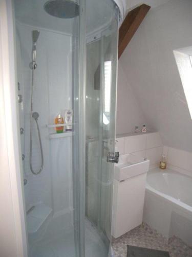 a shower with a glass door in a bathroom at Sandburg in Zempin