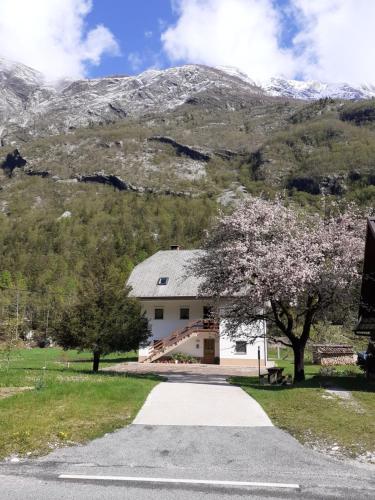 a white house with a mountain in the background at Apartma pod Rožem in Soča