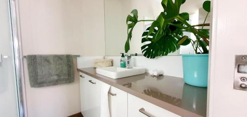 a bathroom with a sink and a potted plant at Ballarat Holiday Homes - Lake Wendouree - Near Ballarat Grammar - 3 kms to Ballarat Hospitals in Ballarat