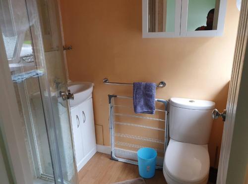 a bathroom with a toilet and a glass shower at Peace and quiet on The Limes in Motcombe