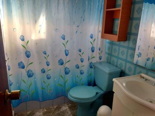 a bathroom with a toilet and a shower curtain with blue flowers at Arriendo casa Verano Pucón in Pucón