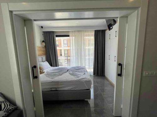 Camelia 5- Beautiful 1+1 on Cleopatra