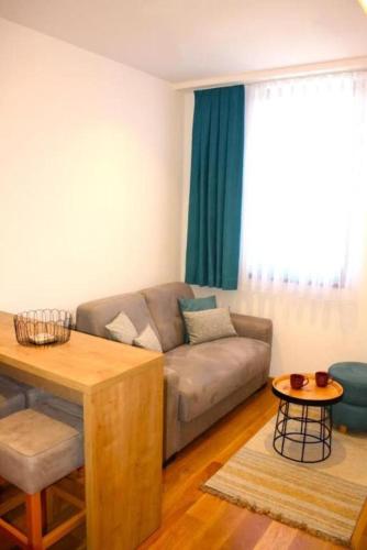 Aparthotel Zlatni Javor 406