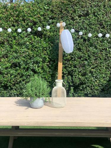a table with a lamp and a potted plant on it at Beach house & garden in idyllic village location in West Wittering
