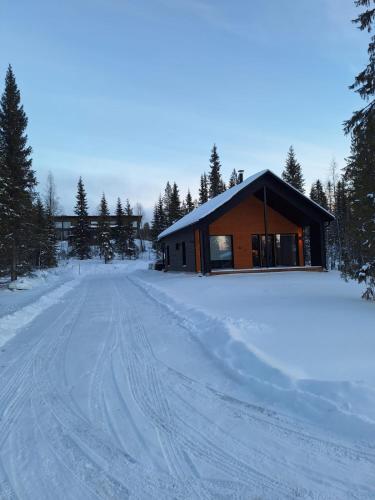 a house in the snow with a road in front at Villa Luokka, Iso-Syöte in Syöte