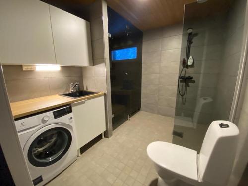 a bathroom with a washing machine and a toilet at Villa Luokka, Iso-Syöte in Syöte