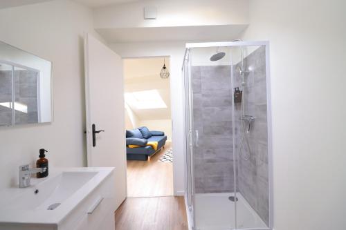 a bathroom with a shower and a sink at Le Travi - Studio Hyper-Centre in Bergerac