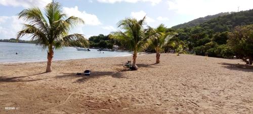 a beach with palm trees and a bike on it at Logement d'affaires et de séjours de groupes du Robert in Le Robert