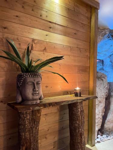 a plant in a vase sitting on a table at Hotel Villa Venus Resort & SPA in Atena Lucana