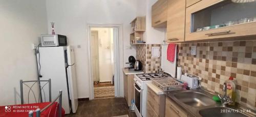 mała kuchnia z lodówką i zlewem w obiekcie Karancs Apartman Salgótarján w mieście Salgótarján