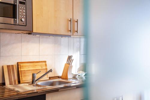 Cuisine ou kitchenette dans l'établissement Apart Elena