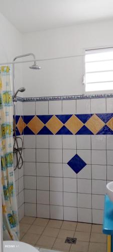a bathroom with blue and white tiles and a shower at Logement d'affaires et de séjours de groupes du Robert in Le Robert