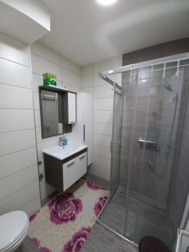 y baño con ducha, lavabo y aseo. en Apartment Centar with garage, en Velika Kladuša