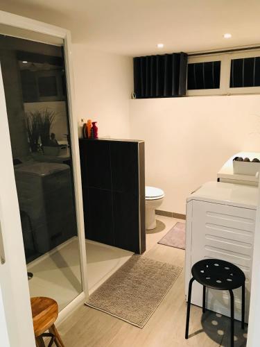 une salle de bain avec douche et toilettes dans l'établissement Superbe studio privé, à Thionville