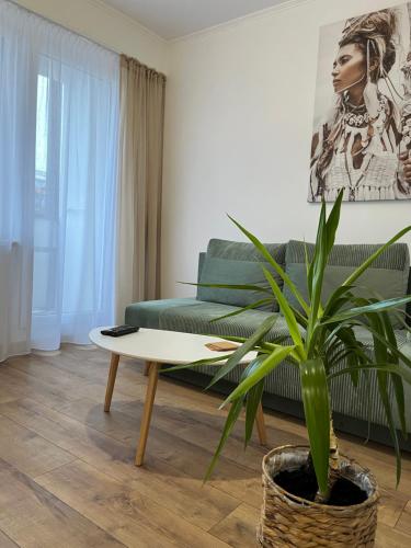 a living room with a green couch and a table at Apartament Rubinowy in Toruń