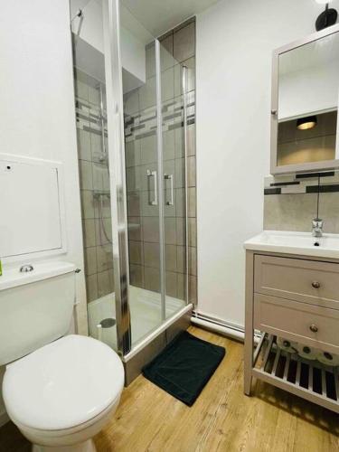 a bathroom with a shower and a toilet and a sink at Au calme de la Gaité in Saint-Jacques-de-la-Lande