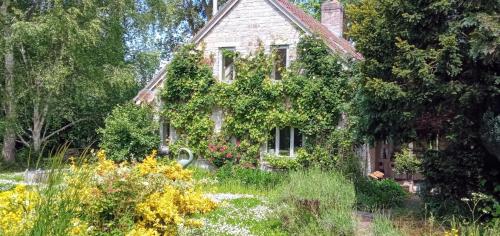 Ảnh trong thư viện ảnh của Cozy Somerset country cottage ở Somerton