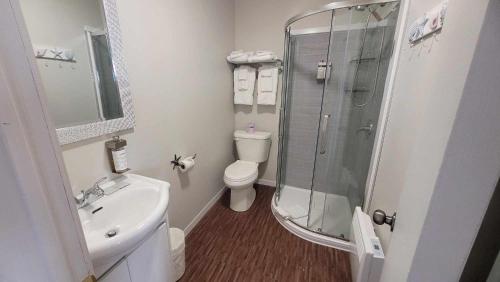 a bathroom with a shower and a toilet and a sink at Hôtel Aquamer in Carleton sur Mer