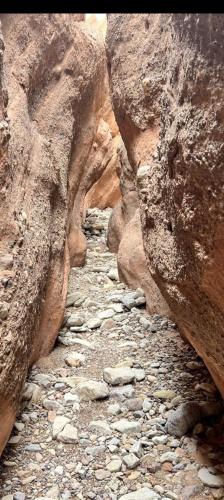 a rocky path in a canyon with some rocks at Dar Essalama Dades in Akhendachou nʼAït Ouffi