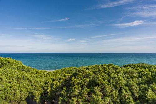 an aerial view of the ocean and trees at Apartamentos Blanes-Condal Costa Brava in Blanes