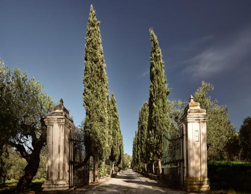 Almeira 4000sq meters Estate, for Unparalleled Seclusion, By ThinkVilla