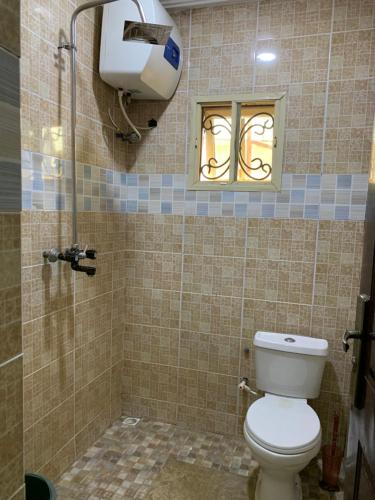 a bathroom with a toilet and a shower with a window at Comfortable 2BDR Apt - Superb power supply, Wi-Fi, Kitchen, Netflix, Mins to Airport in Agege