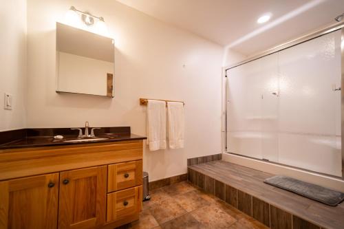 ein Bad mit einem Waschbecken und einer Dusche in der Unterkunft Lookout Mountain Chalet in Wilmington