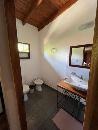 a bathroom with a sink and a toilet and a mirror at LA SELVA MONOAMBIENTES in Puerto Iguazú