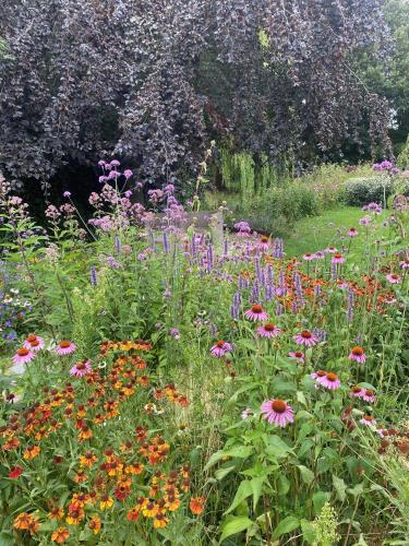 a garden filled with lots of colorful flowers at 99 Lifestyle Suite in Zwaag