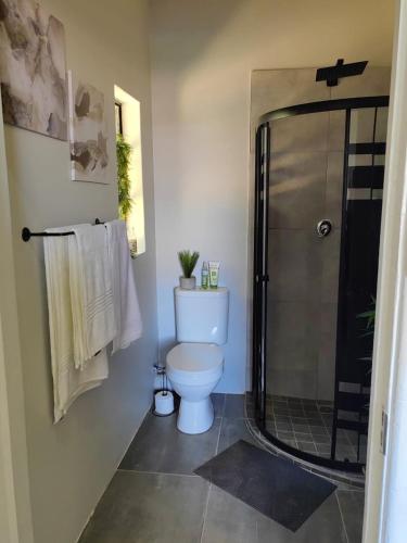 a bathroom with a toilet and a glass shower at One Three Nine On Roberts in Pietermaritzburg