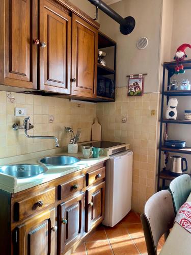 eine Küche mit einer Spüle und einem Kühlschrank in der Unterkunft Bilocale a due passi dal centro in Limone Piemonte