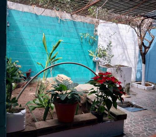 a patio with plants and a blue wall at Villa 64 in Quezaltepeque