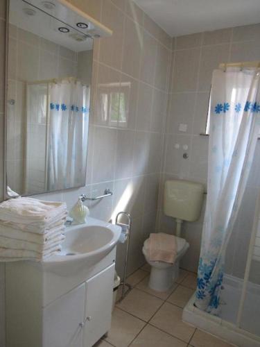 a bathroom with a sink and a toilet and a mirror at Villa Palme 1 in Opatija