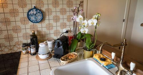un bancone della cucina con lavandino e fiori di Al Castello di Elcito a San Severino Marche