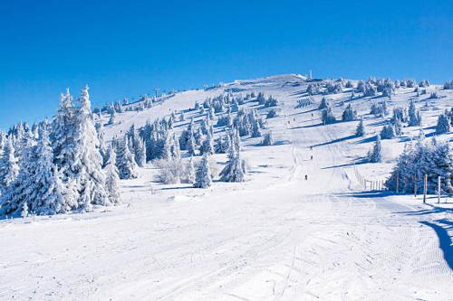 a snow covered hill with trees on top of it at Vista Kopaonik Milmari Studio P22 in Kopaonik