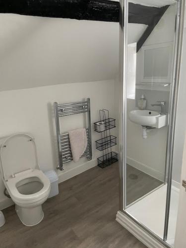 a bathroom with a toilet and a sink at The White Hart Inn in Twickenham