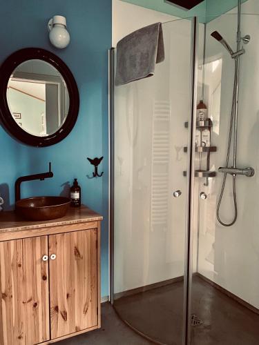 a bathroom with a shower and a sink and a mirror at Backyard Village in Hveragerði