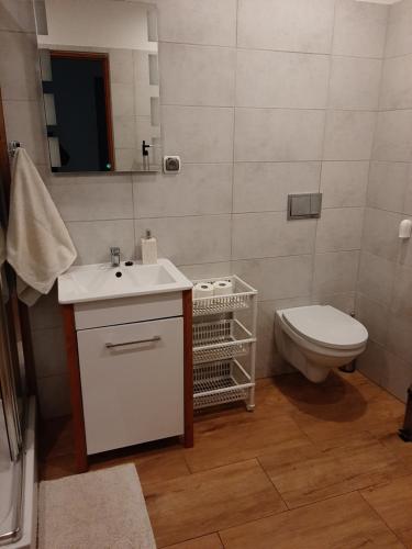 Apartament u Wojtusia في سترونيش لونسكي: حمام مع مرحاض ومغسلة