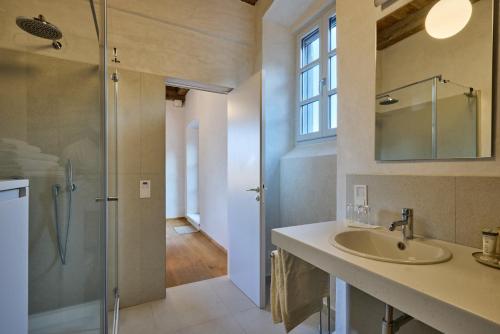 a bathroom with a sink and a glass shower at Renaissance Palace Ghetaldi 1516 in Suđurađ