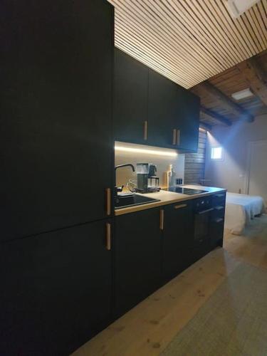 Virtuvė arba virtuvėlė apgyvendinimo įstaigoje Pieni asunto maalla navettarakennuksessa.