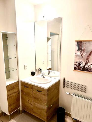 une salle de bain avec un lavabo et un miroir dans l'établissement Bel appartement rénové proche Lyon, à Saint-Priest