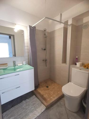 y baño con aseo, lavabo y ducha. en Villa Giuseppina, en Bonifacio