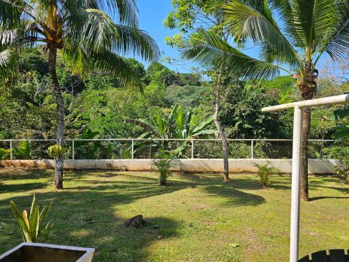a yard with palm trees and a fence at oasis with pool near Panama Canal in Panama City