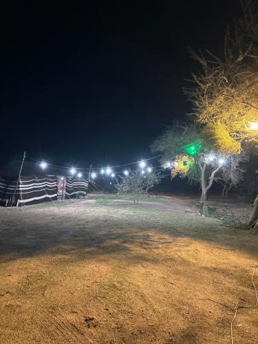 a park at night with lights on a fence at صحاء in Al Khuraymī