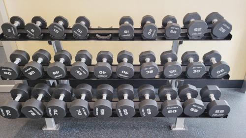 a rack of dumbbells in a gym at Hilton Garden Inn Halifax Airport in Enfield