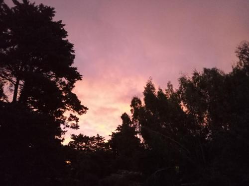 Imagen de la galería de Posada A Viagem, en Tandil