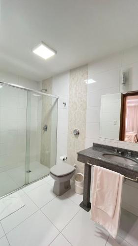 a bathroom with a shower and a toilet and a sink at Regente Hotel in Pato Branco