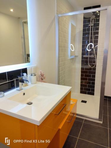 a bathroom with a sink and a shower at La Catiniere in Arnage