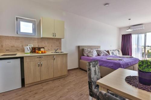a kitchen and a living room with a bed in a room at Buskovic Bella Vista in Dobra Voda